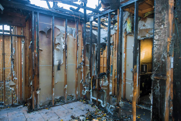 Professional Odor Removal technician working in Crandall, TX